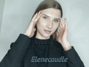 Elenecaudle