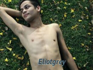 Eliotgrey