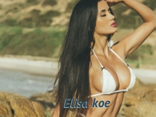 Elisa_koe