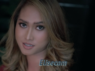 Elisecam