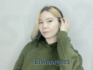 Elvinaaytes