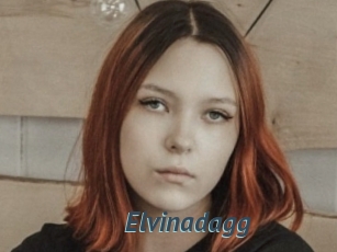 Elvinadagg