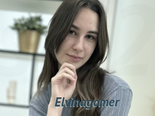 Elvinagomer