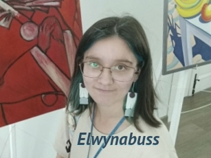 Elwynabuss