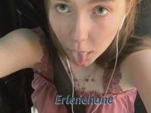 Erlenehane