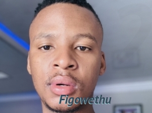 Figowethu