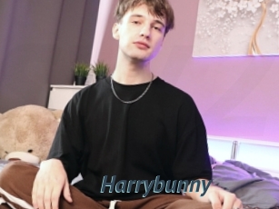 Harrybunny