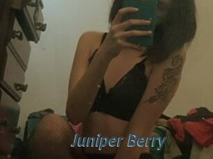 Juniper_Berry