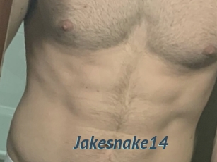 Jakesnake14