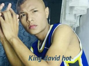 King_david_hot