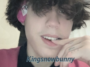 Kingsnowbunny