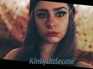 Kinkylittlecate