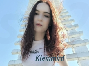 Kleinmird