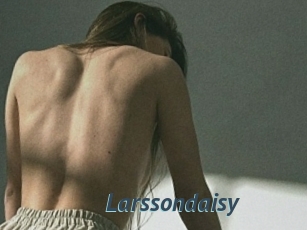 Larssondaisy