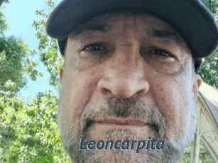 Leoncarpita