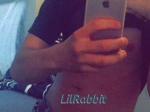 LilRabbit