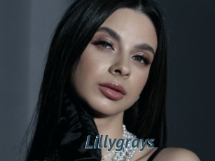 Lillygrays