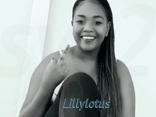 Lillylotus