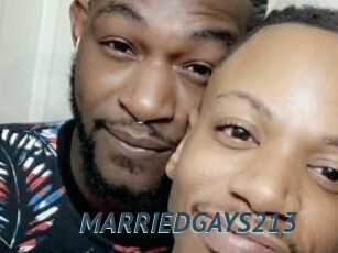 MARRIEDGAYS213