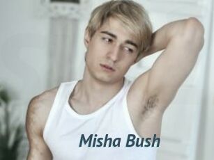 Misha_Bush