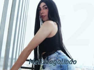 Melizzagalindo