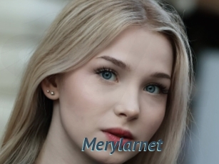 Merylarnet