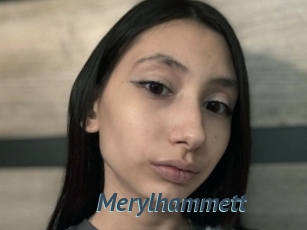 Merylhammett