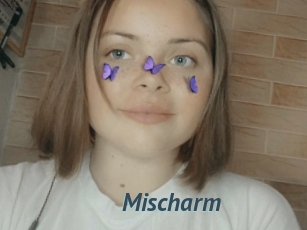 Mischarm