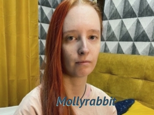 Mollyrabbit