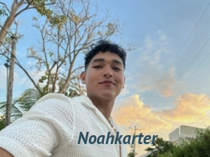 Noahkarter