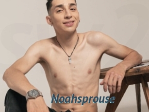 Noahsprouse