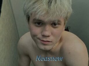 Noasnow