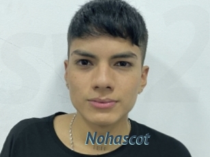 Nohascot