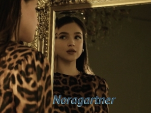 Noragartner