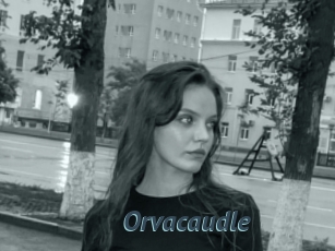 Orvacaudle