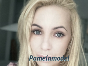 Pamelamodel