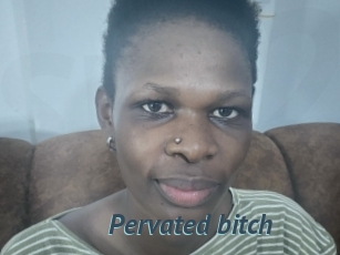 Pervated_bitch