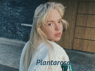 Plantarosa