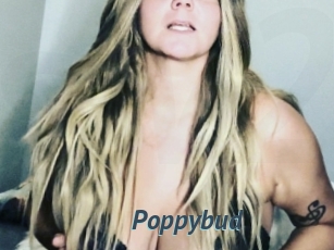 Poppybud