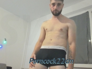 Porncock22cm