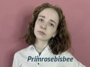 Primrosebisbee