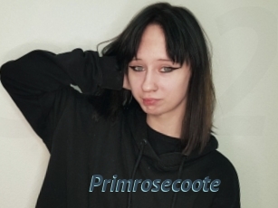 Primrosecoote