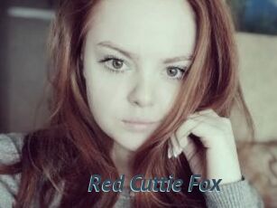 Red_Cuttie_Fox