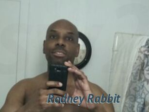 Rodney_Rabbit