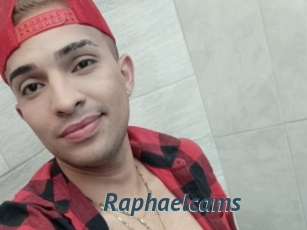 Raphaelcams