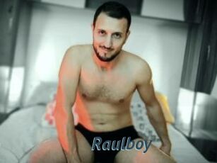 Raulboy