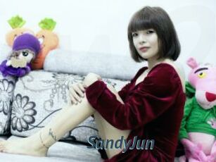 SandyJun