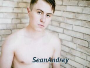 SeanAndrey