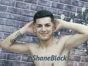 ShaneBlack