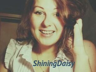 ShiningDaisy